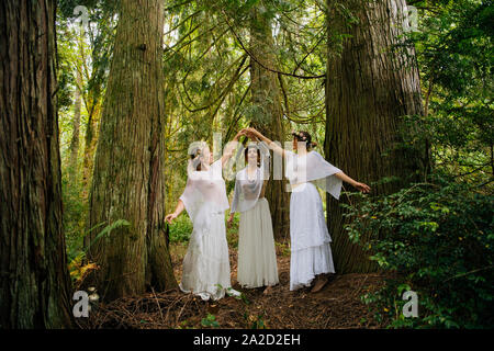 Tre ninfe donna nella foresta, Bainbridge Island, Washington, Stati Uniti d'America Foto Stock