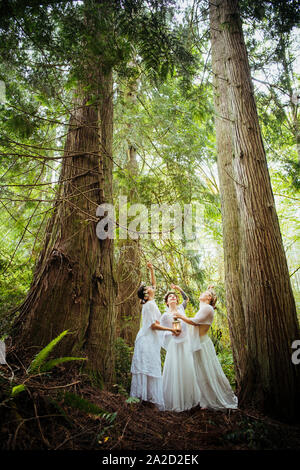 Tre ninfe donna nella foresta, Bainbridge Island, Washington, Stati Uniti d'America Foto Stock