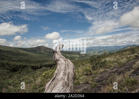 Tronco di albero in prospettiva lungo il paesaggio di montagna Foto Stock