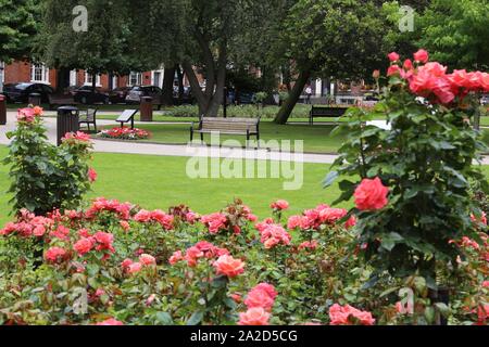 Park Square, Leeds, Regno Unito - Georgian pubblica piazza con giardino di rose. Foto Stock