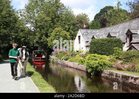 Un cavallo il disegno di una barca da Llantisylio giù le Dee valley verso Llangollen Wharf Foto Stock