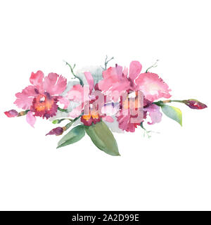 Ramo di orchidee rosa floreale di fiori botanica. Acquerello set di sfondo. Isolato mazzi illustrazione elemento. Foto Stock