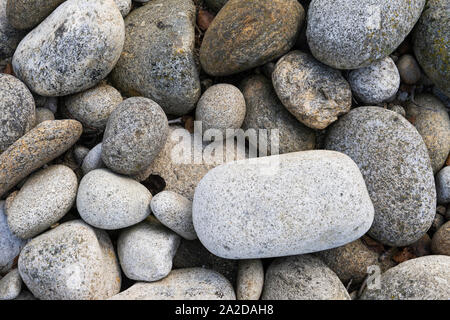 Pietre e massi in toni di grigio sul letto di un fiume in secca in provincia di Avila Foto Stock