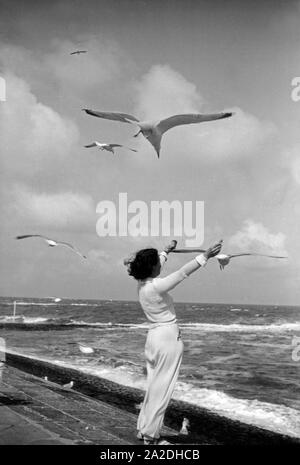 Eine Frau steht im Wind an der Küste am Meer und die füttert Möwen, Deutschland 1930er Jahre. Una donna in piedi sulla riva del mare mare alimentazione gabbiani, Germania 1930s. Foto Stock