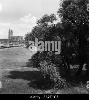 Aue mit dem Mageburger Dom in der Ferne, Deutschland 1930er Jahre. Paesaggio con la Cattedrale di Magdeburgo, Germania 1930s. Foto Stock