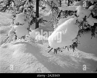 Winterlandschaft in Ostpreußen, 1930er Jahre. Paesaggio invernale in Prussia Orientale, 1930s. Foto Stock