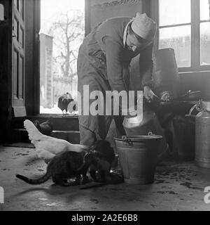 Eine Familie füttert Katzen beim weiblichen Arbeitsdienst in Molkenberg bei Fürstenwalde, Deutschland 1930er Jahre. Una famiglia Gatti di alimentazione presso la forza lavoro femminile gruppo di Molkenberg, Germania 1930s. Foto Stock