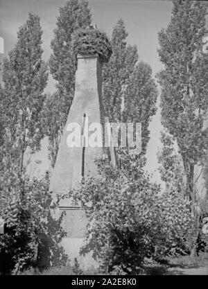 Das Ehrenmal für die Gefallenen des 1. Weltkrieges in Abschwangen in Ostpreußen, 1930er Jahre. WWI memorial presso Abschwangen, Prussia orientale, 1930s. Foto Stock