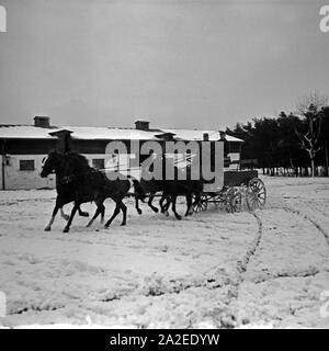 SA Männer üben die Fahrt mit dem Vierspänner im Schnee in der Reichs Reiter Führer Schule in Berlin Zehlendorf, Germania 1930er Jahre. SA uomini esercizio quattro in mano nella neve alla scuola di equitazione a Berlin Zehlendorf, Germania 1930s. Foto Stock