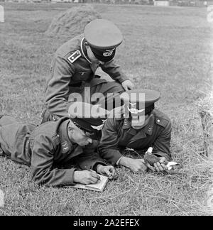 Zwei Rekruten der Luftwaffe der Wehrmacht mit ihrem Ausbilder und einer Brieftaube in der Heeres-Brieftauben-Anstalt, Berlin Spandau 1930er Jahre. Due reclute della Luftwaffe tedesca con la loro punta seargant ed un carrier pigeon, Berlin Spandau 1930s. Foto Stock