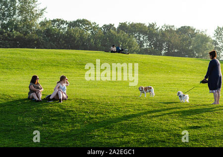 I proprietari di cani sulla passeggiata su un prato verde campo durante un bellissimo tramonto. Foto Stock