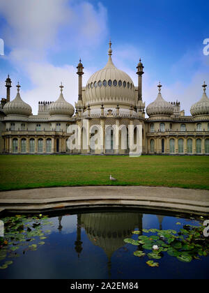 Un gabbiano solitario davanti al Royal Pavilion, noto anche come il Padiglione di Brighton, è un ex residenza reale si trova a Brighton, Sussex, Inghilterra. Foto Stock