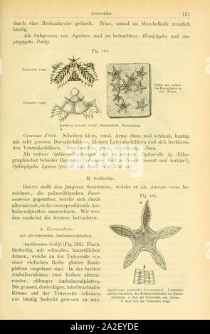 Elemente der palaeontologie (pagina 151, Fig. 184-185) Foto Stock