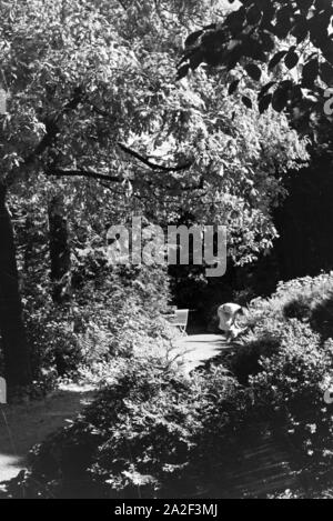 Reisende entspannen im Garten des Hotels Wehrle a Triberg im Schwarzwald, Deutschland 1930er Jahre. Gli ospiti dell'Hotel relax nel giardino del hotel Wehrle in Triberg nella Foresta Nera, Germania 1930s. Foto Stock