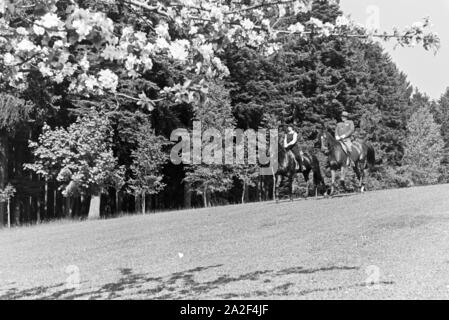 Reiter bei einem Reitausflug im Wald bei Freudenstadt, Deutschland 1930er Jahre. Piloti su un equitazione viaggio nei boschi vicino a Freudenstadt Germania 1930s. Foto Stock