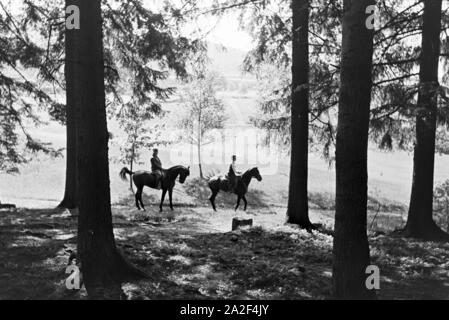 Reiter bei einem Reitausflug im Wald bei Freudenstadt, Deutschland 1930er Jahre. Piloti su un equitazione viaggio nei boschi vicino a Freudenstadt Germania 1930s. Foto Stock