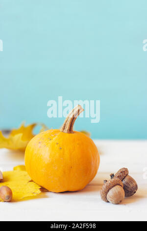 Una mini zucca con caduta foglie, contro teal sfondo; autunno sfondo con spazio di copia Foto Stock