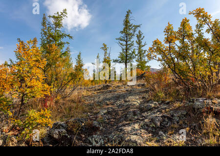 Impressioni della bella umana paesaggio libero del nord della Mongolia Foto Stock