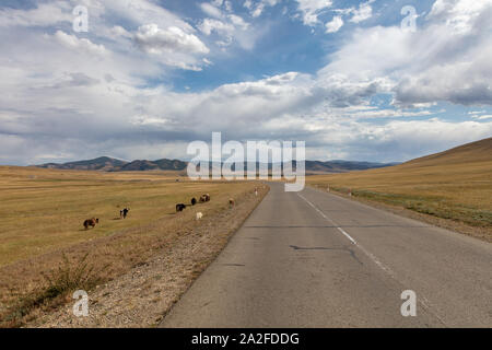 Impressioni della bella umana paesaggio libero del nord della Mongolia Foto Stock