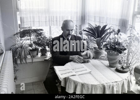 Ein Mann mit Pfeife bei der Lektüre des Frankfurter Volksblatts in seinem Wintergarten Zeppelinheim im bei Frankfurt am Main, Deutschland 1930er Jahre. Un uomo di fumare un tubo e la lettura del Frankfurter Volksblatt nel suo giardino d inverno in Zeppelinheim vicino a Frankfurt am Main, Germania 1930s. Foto Stock