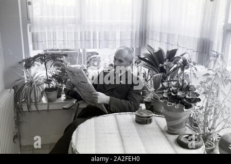 Ein Mann mit Pfeife bei der Lektüre des Frankfurter Volksblatts in seinem Wintergarten Zeppelinheim im bei Frankfurt am Main, Deutschland 1930er Jahre. Un uomo di fumare un tubo e la lettura del Frankfurter Volksblatt nel suo giardino d inverno in Zeppelinheim vicino a Frankfurt am Main, Germania 1930s. Foto Stock