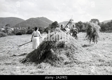 Schülerinnen des Kolonial Schülerheims Harzburg bei der Arbeit, Deutsches Reich 1937. Gli studenti del coloniale scuola residenziale Harzburg al lavoro; Germania 1937. Foto Stock