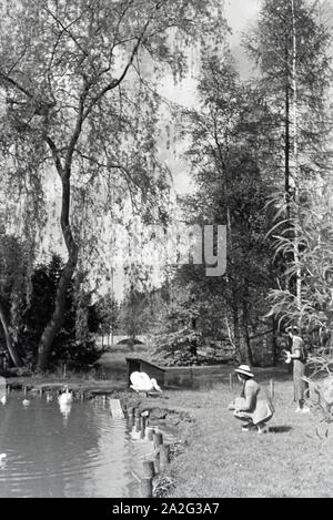 Zwei Damen im Kurpark Hirsau, Schwarzwald, Deutsches Reich 1930er Jahre. Signora due nei giardini del centro termale Hirsau, Foresta Nera, Germania 1930s. Foto Stock