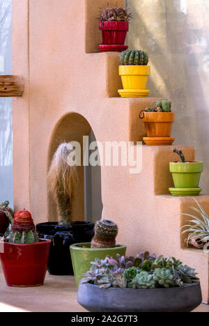 Desert Cactus in variopinti vasi di ceramica, fare un bellissimo display indoor Foto Stock