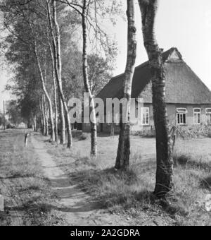 Besichtigung der Fehnkolonie von Worpswede, Deutsches Reich 1930er Jahre. Sondaggio della torba distretto di Worpswede, Germania 1930s. Foto Stock