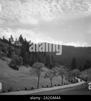 Ein Ausflug nach Bad Rippoldsau Schapbach, Deutsches Reich 1930er Jahre. Un viaggio a Bad Rippoldsau Schapbach, Germania 1930s. Foto Stock