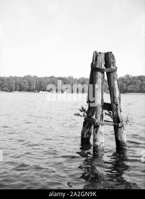 Pfosten Uferbegrenzung als in einem vedere, Deutschland 1930er Jahre. Pali di confine sulla riva di un lago, Germania 1930s. Foto Stock