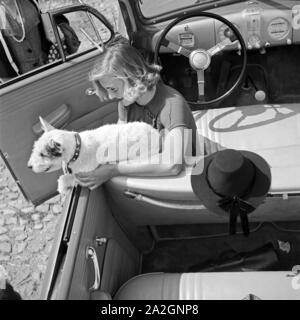 Eine junge Frau und ihr Hund im Opel Olympia Cabrio, Österreich 1930er Jahre. Una giovane donna e il suo cane ad una Opel Olympia cabrio, Austria 1930s. Foto Stock