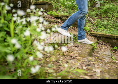 La ragazza è a piedi giù per la vecchia procedura ricoperta di muschio e di erba in un parco forestale. In primo piano è sfocata fiori bianchi. Foto Stock