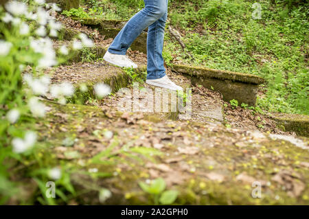 La ragazza è a piedi giù per la vecchia procedura ricoperta di muschio e di erba in un parco forestale. In primo piano è sfocata fiori bianchi. Foto Stock