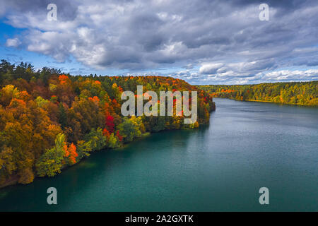 Antenna fuco vista della foresta colorata di verde e laghi Foto Stock