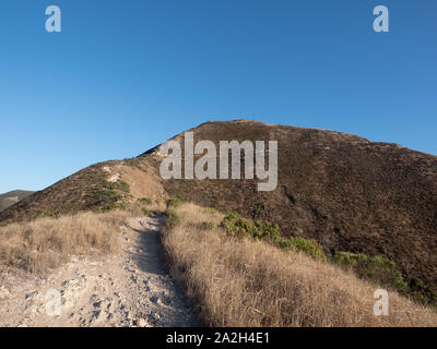 Una salita il sentiero a picco di Valencia, Montana de Oro del parco statale, Los Osos, CALIFORNIA, STATI UNITI D'AMERICA Foto Stock