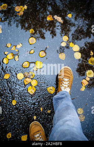 Un uomo in jeans e scarpe carine a piedi lungo una strada asfaltata sulla quale giallo caduta foglie e pozzanghere dopo la pioggia. Foto Stock