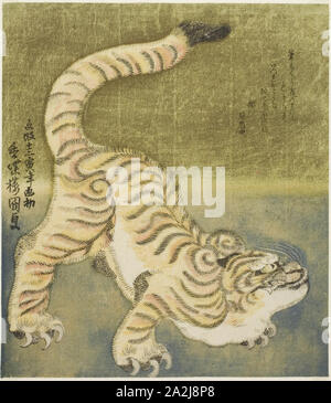 La tigre, 1830, Utagawa Kunisada I (Toyokuni III), giapponese, 1786-1864, Giappone, Color woodblock stampa, shikishiban, surimono, 21,2 x 18,7 cm Foto Stock