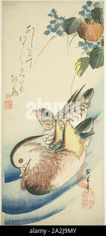 Mandarin anatre, 1.830 s, Utagawa Hiroshige 歌川 広重, Giapponese, 1797-1858, Giappone, Color woodblock stampa, otanzaku, 38,2 x 17,6 cm (15 x 6 7/8 in Foto Stock