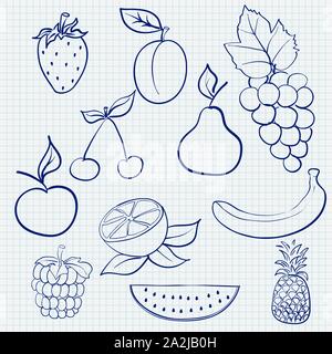 Frutti e bacche. Profilo blu schizzo su carta rigata sfondo Illustrazione Vettoriale