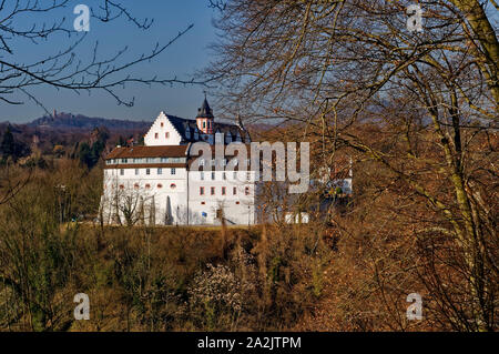 Castello di Schönberg a Schönberg (parte di Bensheim) sulla Bergstrasse, quartiere Bergstrasse, Hesse, Germania Foto Stock