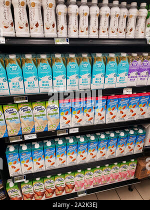Diverse varietà di latte corsia in un Pick n Pay supermercato, Sud Africa Foto Stock