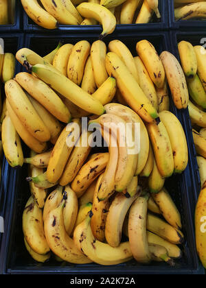 La frutta e la verdura in corsia di un Pick n Pay supermercato, Sud Africa Foto Stock