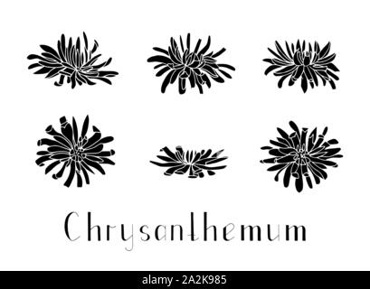 Set di disegnato a mano sagome crisantemo isolato su uno sfondo bianco. Lettering. Monocromatico illustrazione vettoriale. In bianco e nero. Decorazioni fo Illustrazione Vettoriale