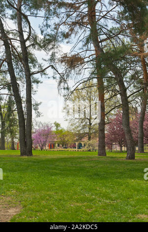 Vista verso il centro visitatori con redbud crabapple e alberi in fiore primavera a San Louis Forest Park e dal vicino Lindell & DeBaliviere. Foto Stock