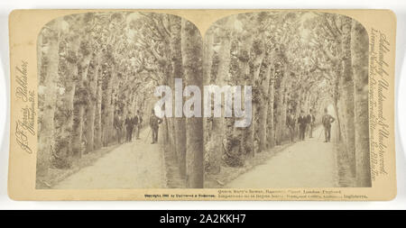 Queen Mary's Bower, Hampton Court, Londra, Inghilterra, 1892, Underwood & Underwood, American, attivo 1881-1920, Stati Uniti, albume silver stampa, stereo, 8 x 7,7 cm (ogni immagine), 8,8 x 17,8 cm (scheda Foto Stock