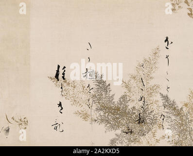 Una poesia da Shin Kokinshu con il design di erbe Shinobugusa, 1605/10, Hon'ami Koetsu, Giapponese, 1558-1637, un frammento di un handscroll montato come appeso un scorrimento, inchiostro, oro-argento pigmento colorato, e mica su carta, 33,6 × 44,5 cm (13 1/4 × 17 1/2 in Foto Stock