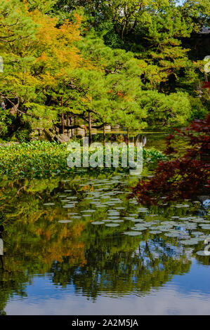 Heian jingu-giardino con la sua impressionante rifilato piante e oriental tradizionale architettura giapponese a Kyoto, Giappone Foto Stock