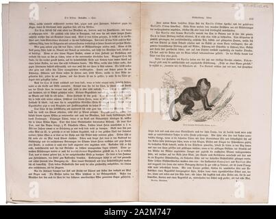 Cebus apella, stampa il cappuccino tufted (Sapajus apella), noto anche come cappuccino marrone, nero-capped cappuccini, o il pin di scimmia è un mondo nuovo primate dal Sud America. Come tradizionalmente definiti, è uno tra i più diffusi di primati in neotropicale, ma è stato recentemente raccomandato considerando il black-striato, nero e oro-panciuto cappuccini come specie separate in un nuovo genere, così da limitare efficacemente il cappuccino tufted al bacino amazzonico e delle regioni vicine., 1700-1880 Foto Stock