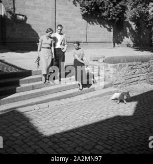 Zwei junge Frauen und ein Mann gehen mit dem Hund spazieren, Deutschland 1930er Jahre. Due giovani donne e un uomo passeggiate con il cane, Germania 1930s. Foto Stock